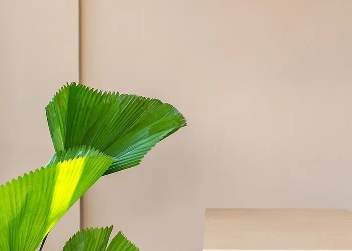 Auberge de jeunesse Coco & Pineapple Pants