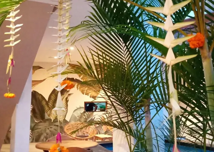 Coco & Pineapple Pants Auberge de jeunesse *