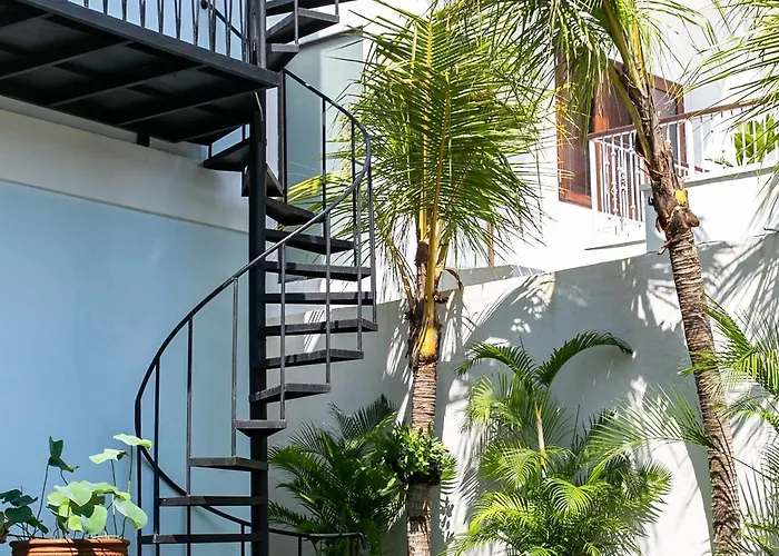 Coco & Pineapple Pants Auberge de jeunesse *