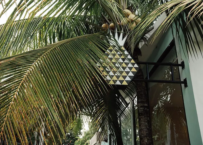Coco & Pineapple Pants Auberge de jeunesse